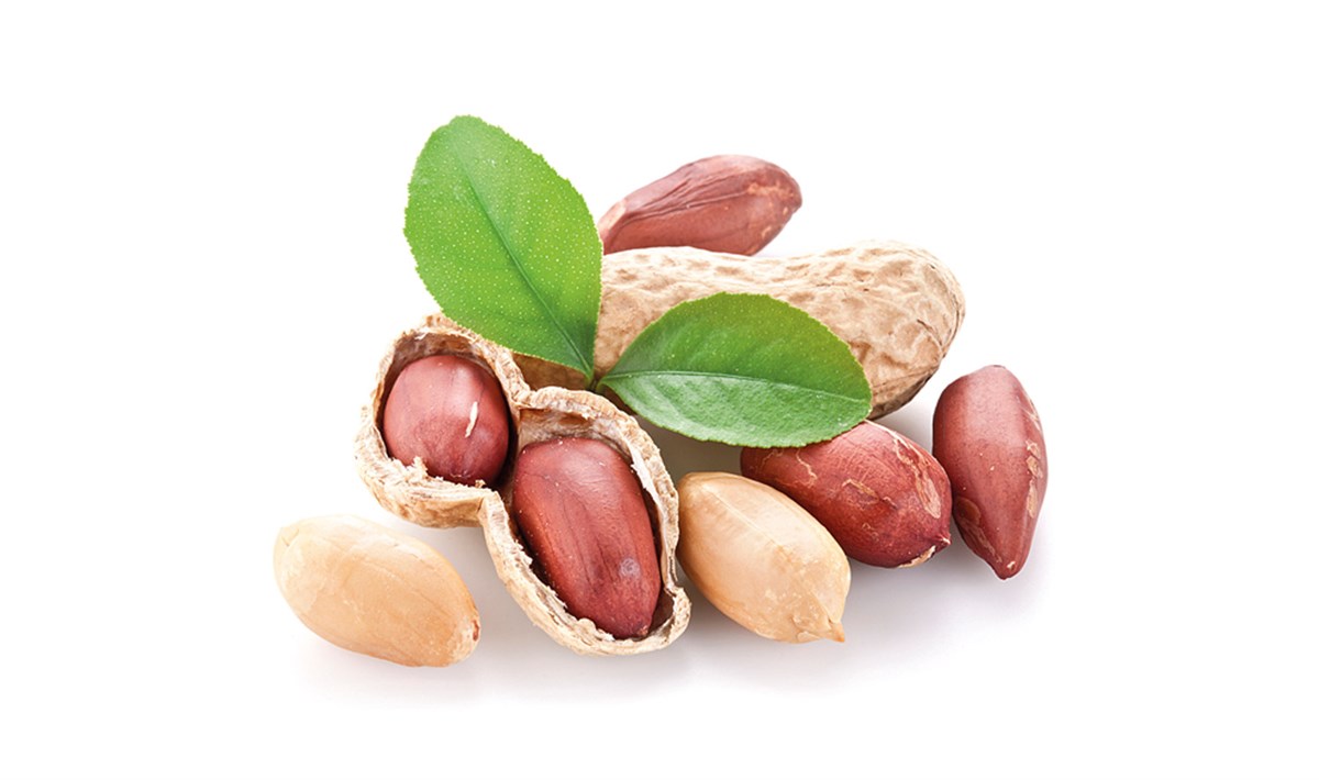 Frutos Secos-Calcibone