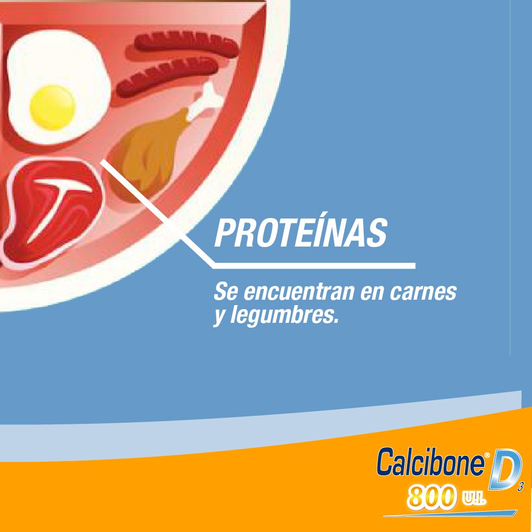Proteínas - Calcibone D Proteínas - Calcibone D